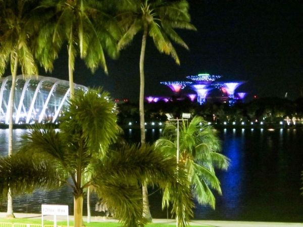 Zdjęcie z Singapuru - SINGAPUR