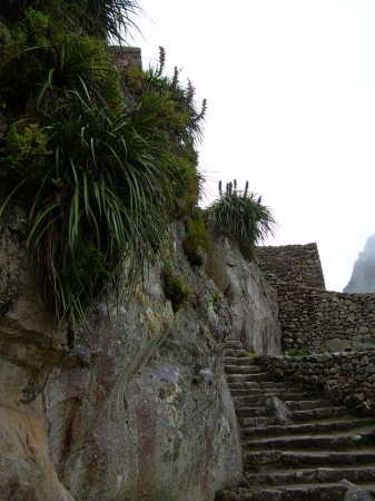 Zdjęcie z Peru - Machu Picchu