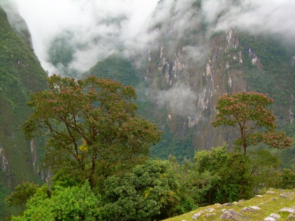 Zdjęcie z Peru - Machu Picchu