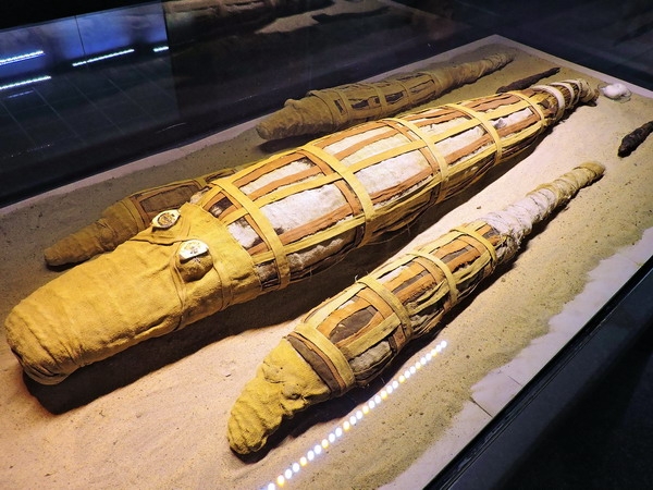 Zdjęcie z Egiptu - Świątynia w Kom Ombo.