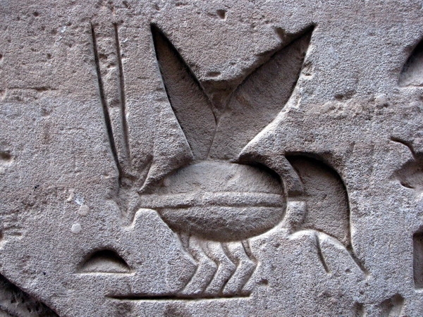 Zdjęcie z Egiptu - Świątynia Horusa w Edfu.