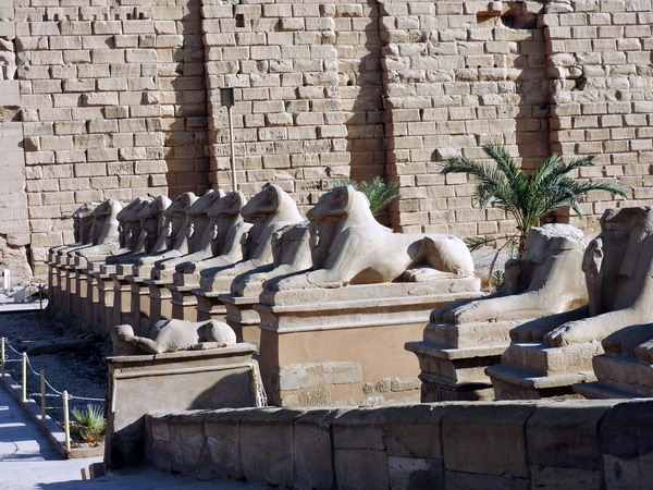 Zdjęcie z Egiptu - Karnak - fragment 3-km (nigdyś) Alei Sfinksów.