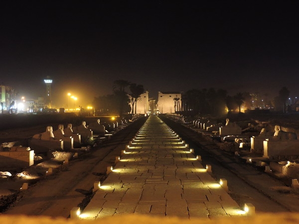 Zdjęcie z Egiptu - Luksor - Aleja Sfinksów by night.