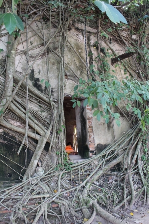 Zdjęcie z Tajlandii - Światynie