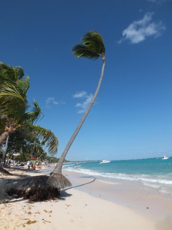 Zdjęcie z Dominikany - Bavaro Beach
