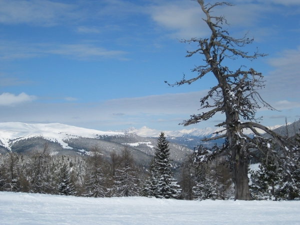 Zdjęcie z Austrii - Turracher Hohe