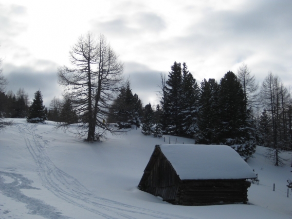 Zdjęcie z Austrii - Turracher Hohe