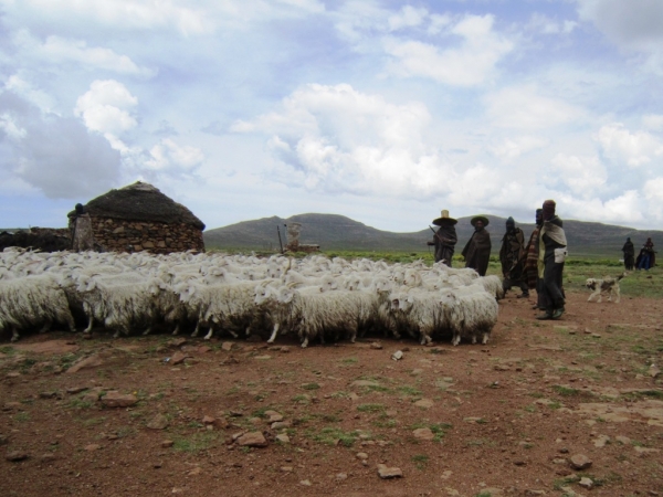 Zdjęcie z Lesotho - Sani Pass