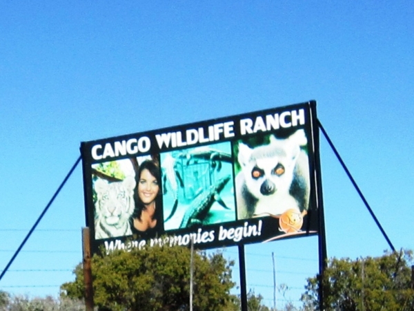 Zdjęcie z Republiki Półudniowej Afryki - Cango Wildlife Ranch