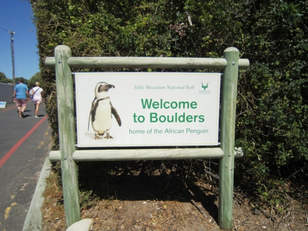 Zdjęcie z Republiki Półudniowej Afryki - Boulders Beach