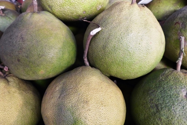 Zdjęcie z Tajlandii - guava albo farang