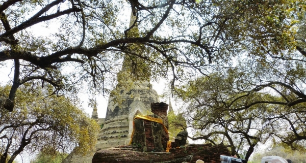 Zdjęcie z Tajlandii - Ayutthaya i Budda bez Głowy