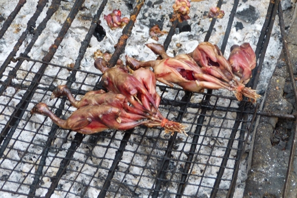 Zdjęcie z Tajlandii - grillowane przepióreczki:)