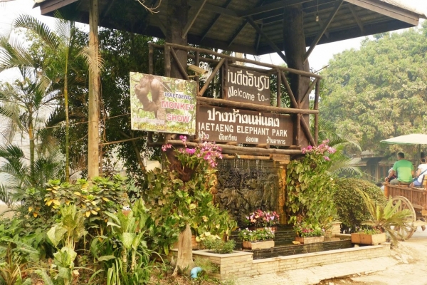 Zdjęcie z Tajlandii - Maetaeng Elephant Park