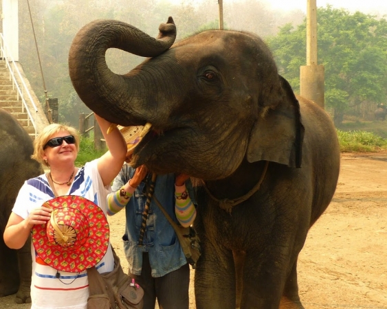 Zdjęcie z Tajlandii - słoń w dotyku jest strasznie szorstki:))