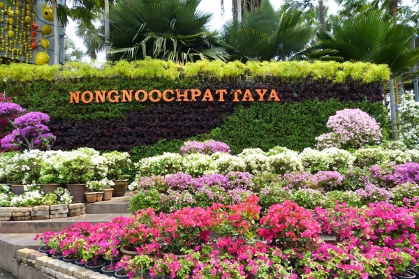 Zdjęcie z Tajlandii - Ogrody Nong-Nooch - 25 km od Pattai