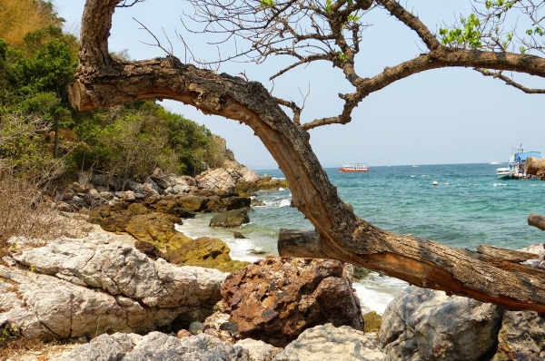 Zdjęcie z Tajlandii - Koh Larn