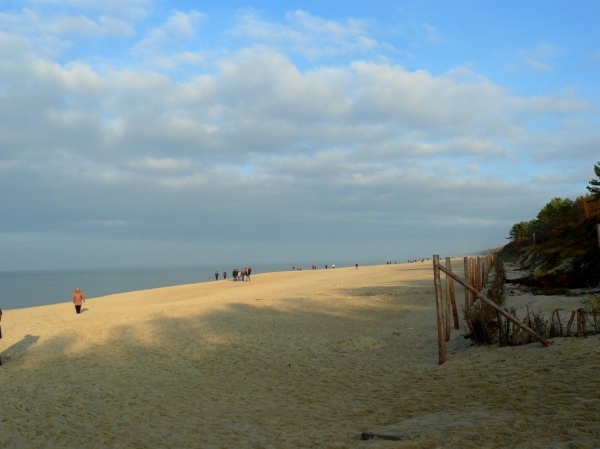 Zdjęcie z Polski - Plaża w Krynicy M.