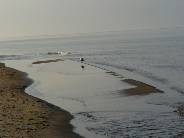 Zdjęcie z Polski - Plaża w Krynicy M.