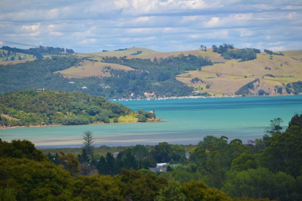 Zdjęcie z Nowej Zelandii - Widok z okna domu naszych znajomych