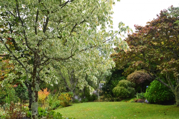 Zdjęcie z Nowej Zelandii - Waitati Gardens