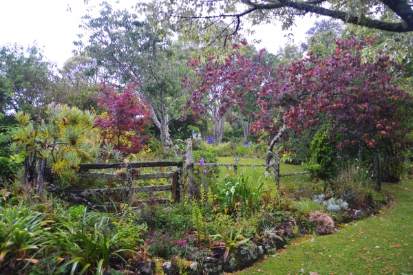 Zdjęcie z Nowej Zelandii - Waitati Gardens