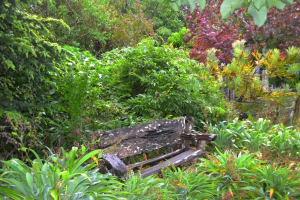 Zdjęcie z Nowej Zelandii - Waitati Gardens