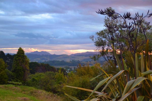 Zdjęcie z Nowej Zelandii - Waitati Gardens - wieczorne widoki
