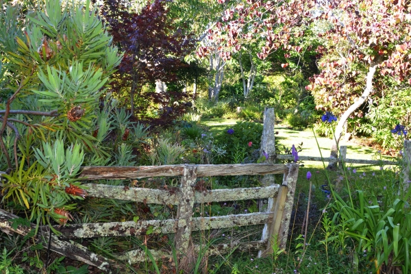 Zdjęcie z Nowej Zelandii - Waitati Gardens