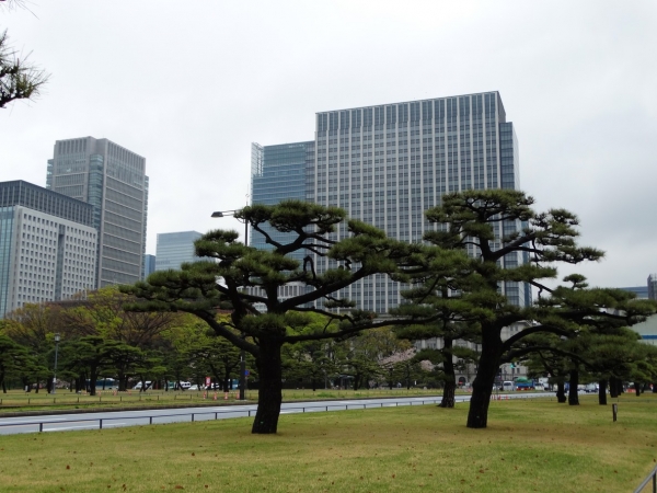 Zdjęcie z Japonii - Tokyo