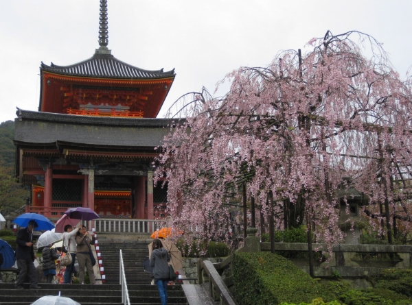 Zdjęcie z Japonii - Kyoto
