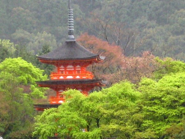Zdjęcie z Japonii - Kyoto
