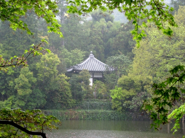 Zdjęcie z Japonii - Kyoto