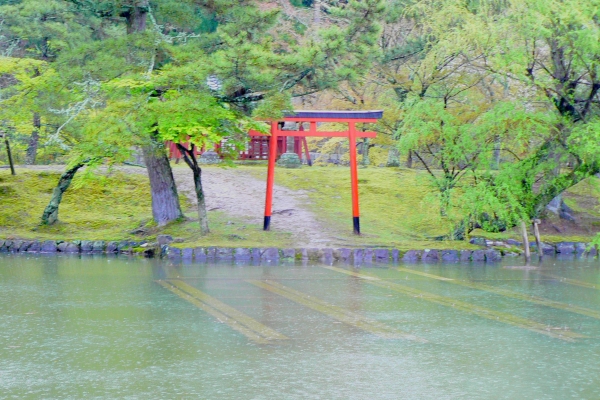 Zdjęcie z Japonii - Nara