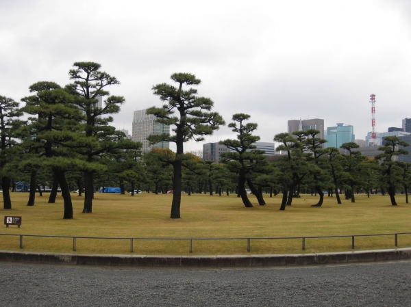 Zdjęcie z Japonii - Tokyo