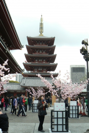 Zdjęcie z Japonii - Tokyo