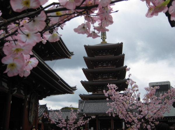 Zdjęcie z Japonii - Tokyo