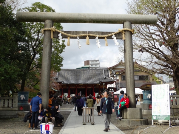 Zdjęcie z Japonii - Tokyo