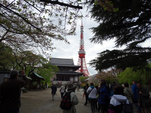Zdjęcie z Japonii - Tokyo