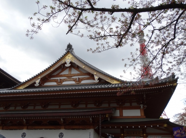Zdjęcie z Japonii - Tokyo