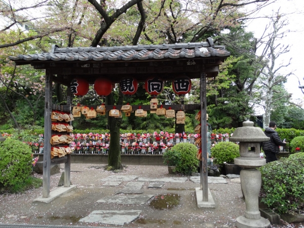 Zdjęcie z Japonii - Tokyo
