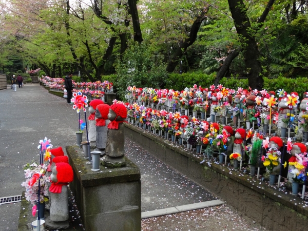 Zdjęcie z Japonii - Tokyo