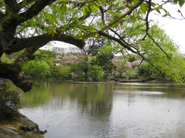 Zdjęcie z Japonii - Kamakura
