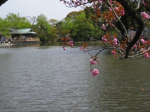 Zdjęcie z Japonii - Kamakura