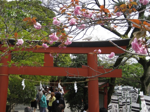Zdjęcie z Japonii - Kamakura