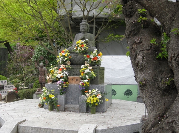 Zdjęcie z Japonii - Kamakura