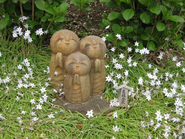 Zdjęcie z Japonii - Kamakura