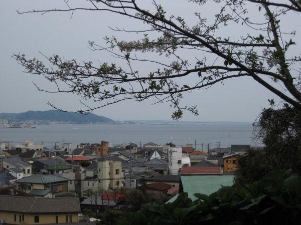 Zdjęcie z Japonii - Kamakura