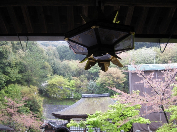 Zdjęcie z Japonii - Kyoto