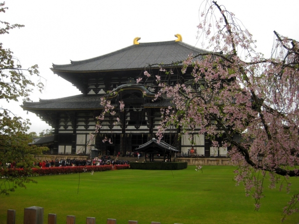 Zdjęcie z Japonii - Nara
